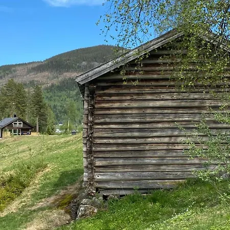 Hytta Kåns I Tuddal Hjartdal Exteriör bild