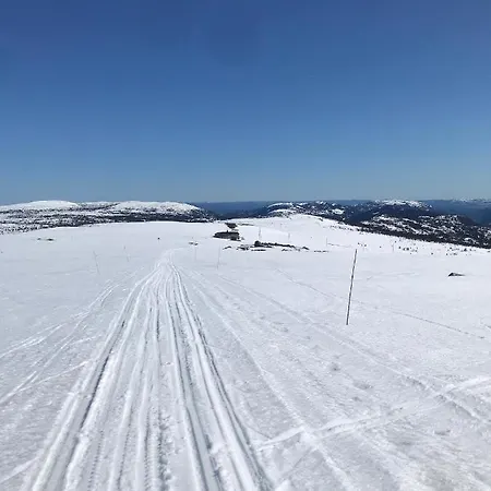 Hytta Kåns I Tuddal Hjartdal Exteriör bild