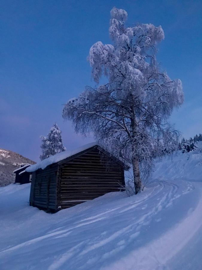 Hytta Kåns I Tuddal Hjartdal