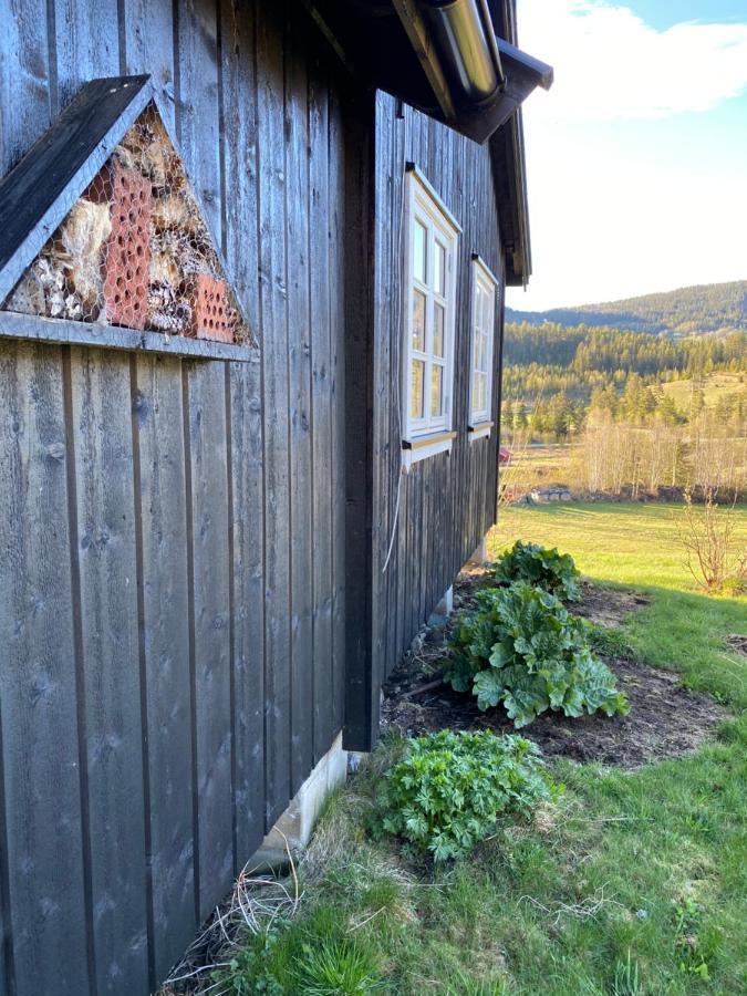 Semesterbostad Hytta Kåns I Tuddal